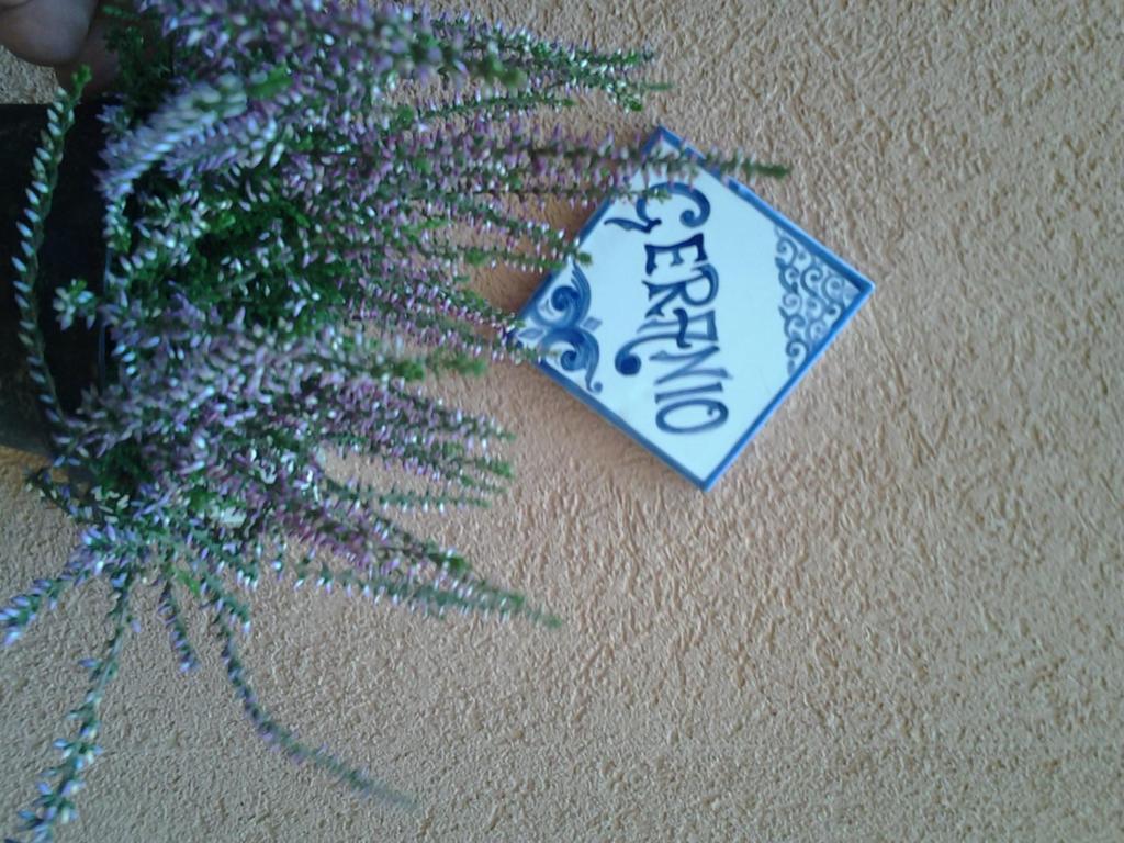 Il Cortile Fiorito Apartamento Trapani Exterior foto